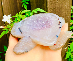 Crystal Agate Druzy Turtle Amethyst - Dragon Mama Crystals 