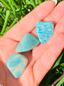 Amazonite Tumble Stones - Dragon Mama Crystals 