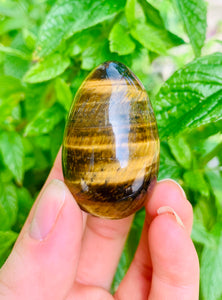Tigers Eye Eggs - Dragon Mama Crystals 