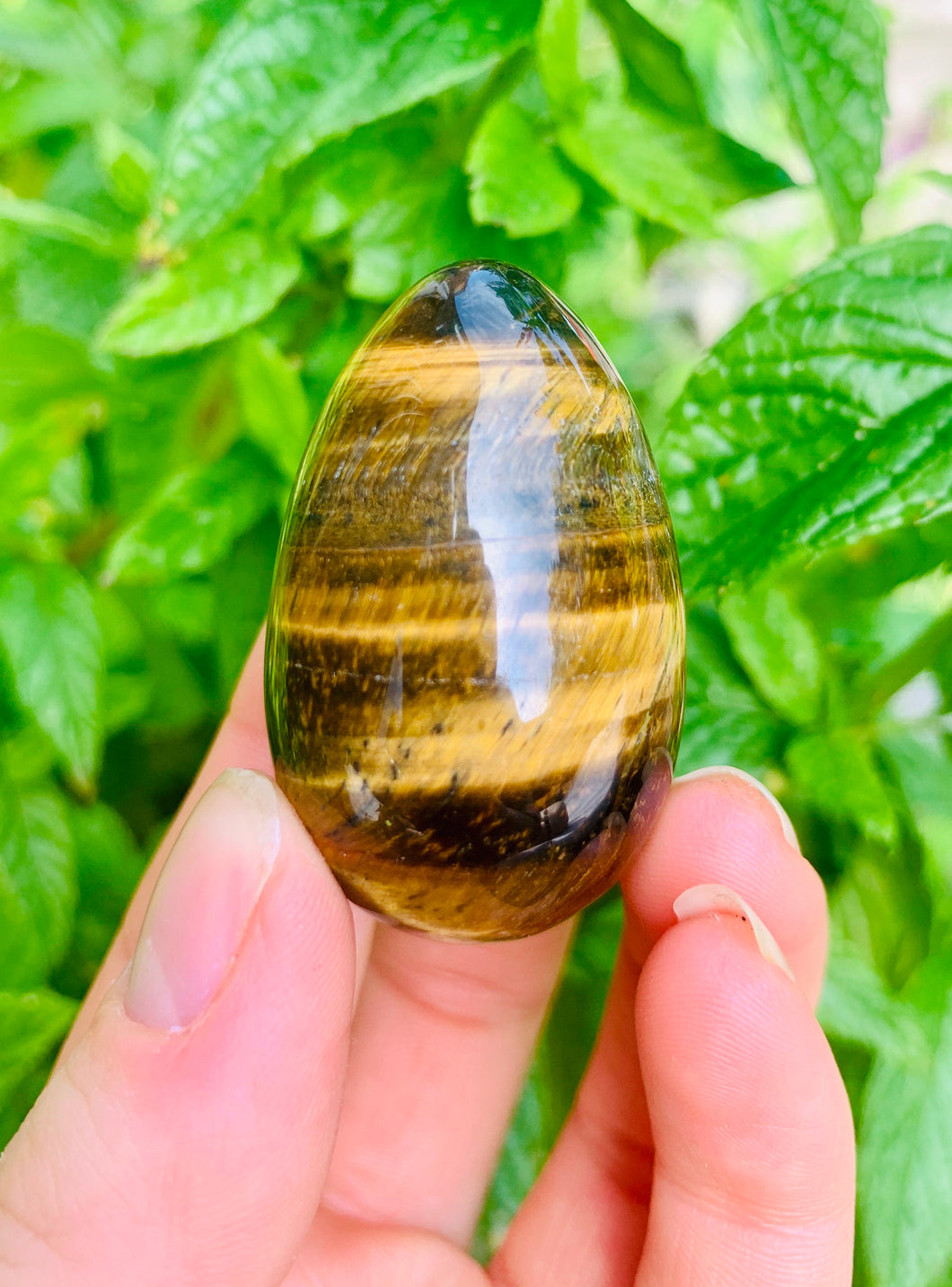 Tigers Eye Eggs - Dragon Mama Crystals 