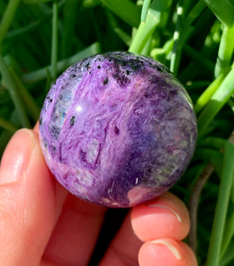 Extremely Rare Charoite Sphere with Rainbow A Grade Russia - Dragon Mama Crystals 