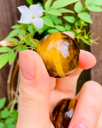 Tigers Eye Spheres - Dragon Mama Crystals 