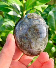 Load image into Gallery viewer, Labradorite Palm Stones B Grade - Dragon Mama Crystals 