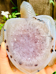 Crystal Agate Druzy Turtle Amethyst - Dragon Mama Crystals 