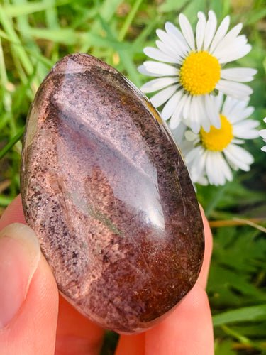 Lodolite Lens Brazil A Grade 03 - Dragon Mama Crystals 