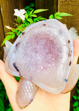 Load image into Gallery viewer, Crystal Agate Druzy Turtle Amethyst - Dragon Mama Crystals 