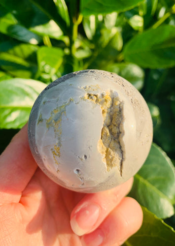 Rare All Grey Bumble Bee Jasper - Dragon Mama Crystals 