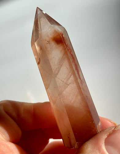 Rare Rabbit Rutile Point - Dragon Mama Crystals 
