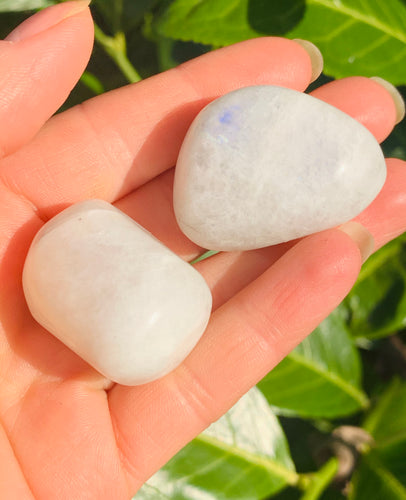 A Grade Moonstone Tumble Stones With Flash - Dragon Mama Crystals 